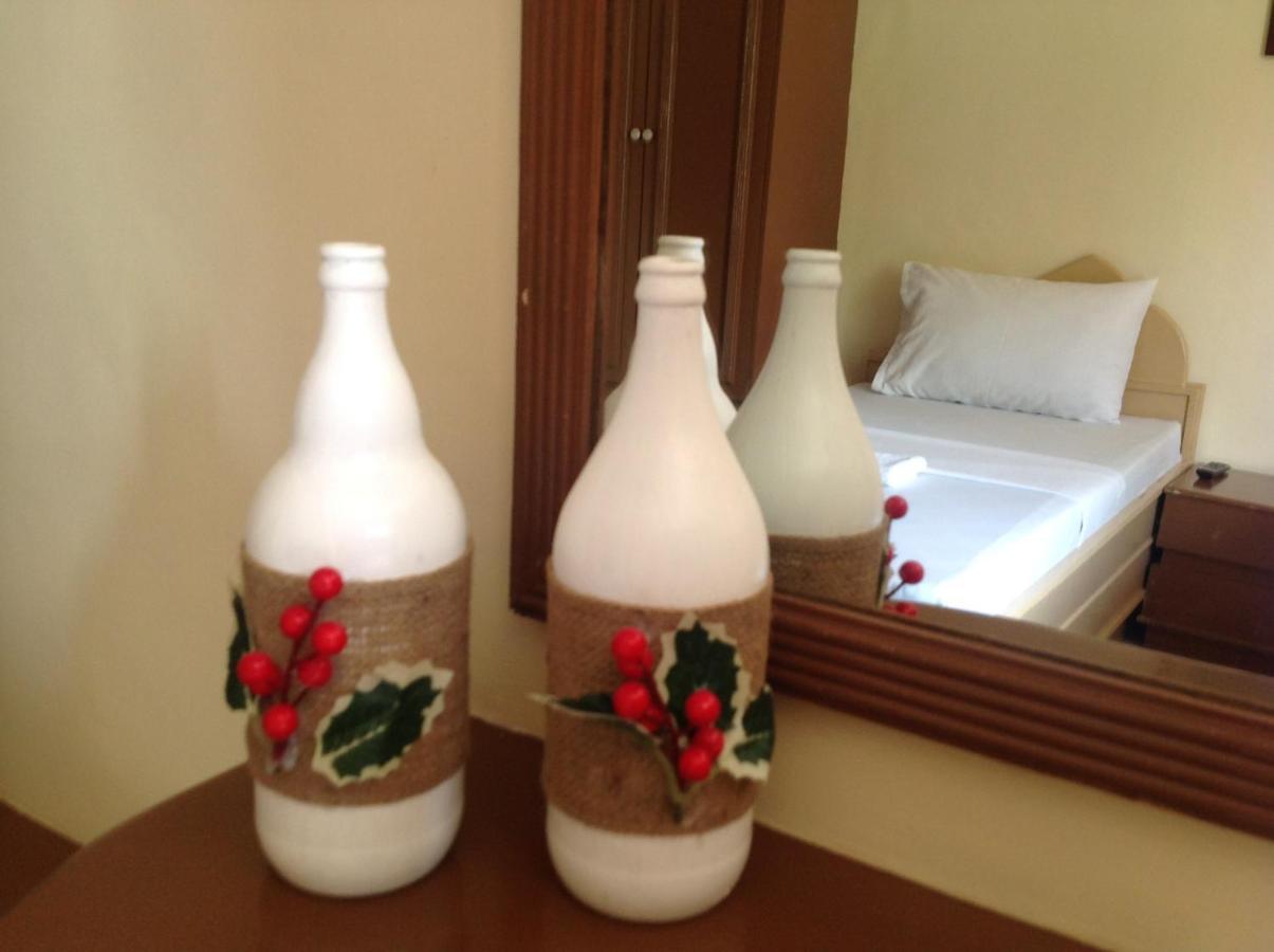 丹内尔潘系娜内酒店 独鲁万 外观 照片